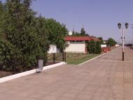 Чаплине з panoramio.com