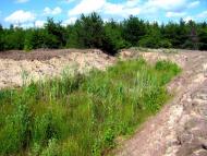 Бабка з panoramio.com