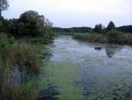 Красна Лука з panoramio.com