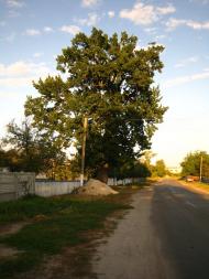 Кожанка з panoramio.com