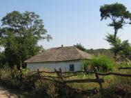 Цибулів з panoramio.com