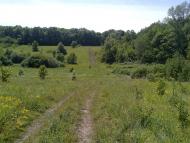 Писарівка з panoramio.com