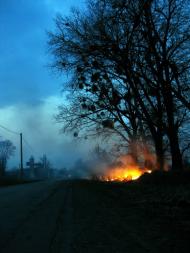 Стрижавка з panoramio.com