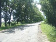 Баламутівка з panoramio.com