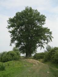 Хотешів з panoramio.com