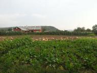 Фітьків з panoramio.com