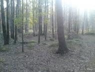 Замисловичі з panoramio.com