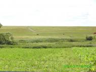 Самгородок з panoramio.com