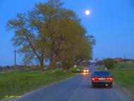 Садове з panoramio.com