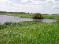 Коленці з panoramio.com