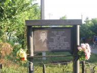 Богданівка з panoramio.com