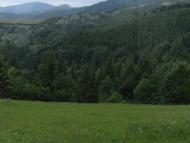 Березово з panoramio.com