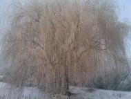 Козятин з panoramio.com - Kozyatyn