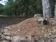 Волиця з panoramio.com