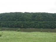 Петрів з panoramio.com