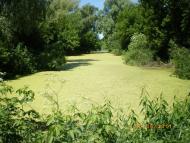 Червоні Партизани з panoramio.com