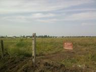 Созонівка з panoramio.com