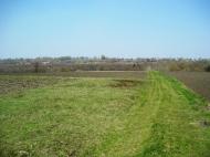 Луциківка з panoramio.com