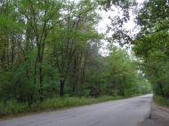 Проліски з panoramio.com