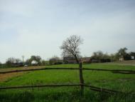 Вівчицьк з panoramio.com