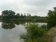 Очеретувате з panoramio.com