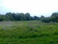 Новоганнівка з panoramio.com