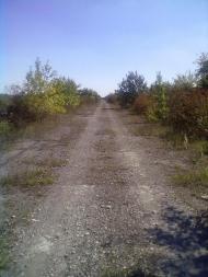 Панчищини з panoramio.com