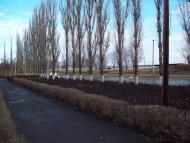 Воронівка - Останні фото