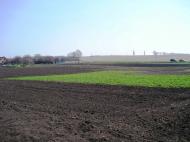 Луциківка з panoramio.com