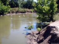 Новоганнівка з panoramio.com