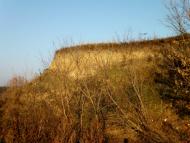 Набережне з panoramio.com