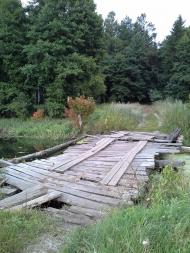 Скригалівка з panoramio.com