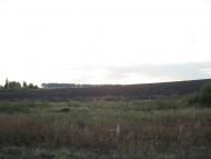 Серединці з panoramio.com