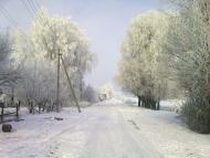 Яблуневе з panoramio.com