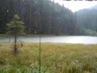 Нижній Яловець з panoramio.com