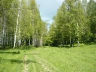 Рудня з panoramio.com