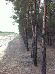 Великі Копані з panoramio.com