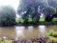 Новоганнівка з panoramio.com