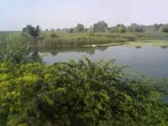 Малокатеринівка з panoramio.com