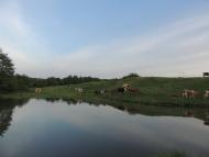 Монастирець з panoramio.com