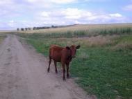 Юр'ївка з panoramio.com