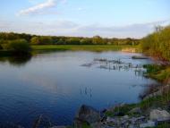 Пугачівка з panoramio.com