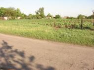 Дмитрівка з panoramio.com