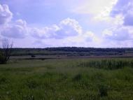 Кузнецове з panoramio.com - Кузнецове