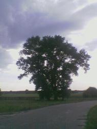 Бирине з panoramio.com