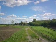 Привільне з panoramio.com