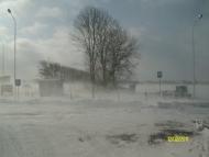 Привільне з panoramio.com