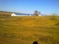 Схід з panoramio.com