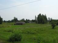 Березівка з panoramio.com