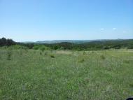 Строгонівка з panoramio.com